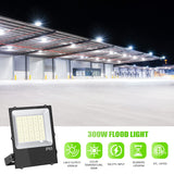LED Flood Light - FL Series,300W,42000lumens,5000K,100-277V