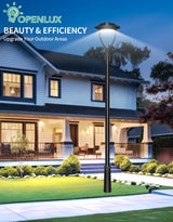 LED Post Top Light- PTA Series,100W,14000lumens,Selectable Wattage& CCT,100-277V,Dusk to Dawn Optional