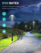 LED Post Top Light- PTA Series,80W,11200lumens,Selectable Wattage,100-277V,Dusk to Dawn Optional