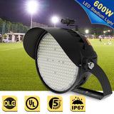 LED Stadium Light  - NCL Series,600W,90000lumens,5000K,100-277V